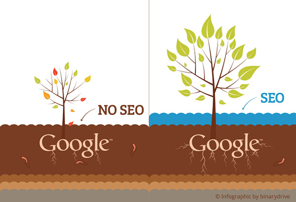 grow-seo-serp-organically